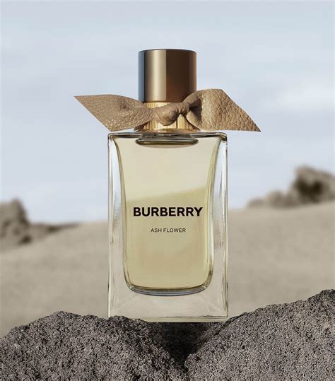 burberry london england perfume|More.